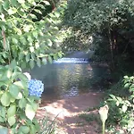 Maison Et Moulin A Eau Entre 2 Rivieres Dans Parc Animalier *