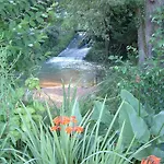Maison Et Moulin A Eau Entre 2 Rivieres Dans Parc Animalier Saint-Aubin (Landes)
