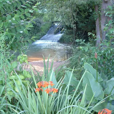 Maison Et Moulin A Eau Entre 2 Rivieres Dans Parc Animalier Saint-Aubin (Landes)