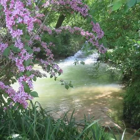 Maison Et Moulin A Eau Entre 2 Rivieres Dans Parc Animalier